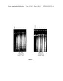 2-ANILINO NICOTINYL LINKED 2-AMINO BENZOTHIAZOLE CONJUGATES AND PROCESS     FOR THE PREPARATION THEREOF diagram and image