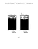 2-ANILINO NICOTINYL LINKED 2-AMINO BENZOTHIAZOLE CONJUGATES AND PROCESS     FOR THE PREPARATION THEREOF diagram and image