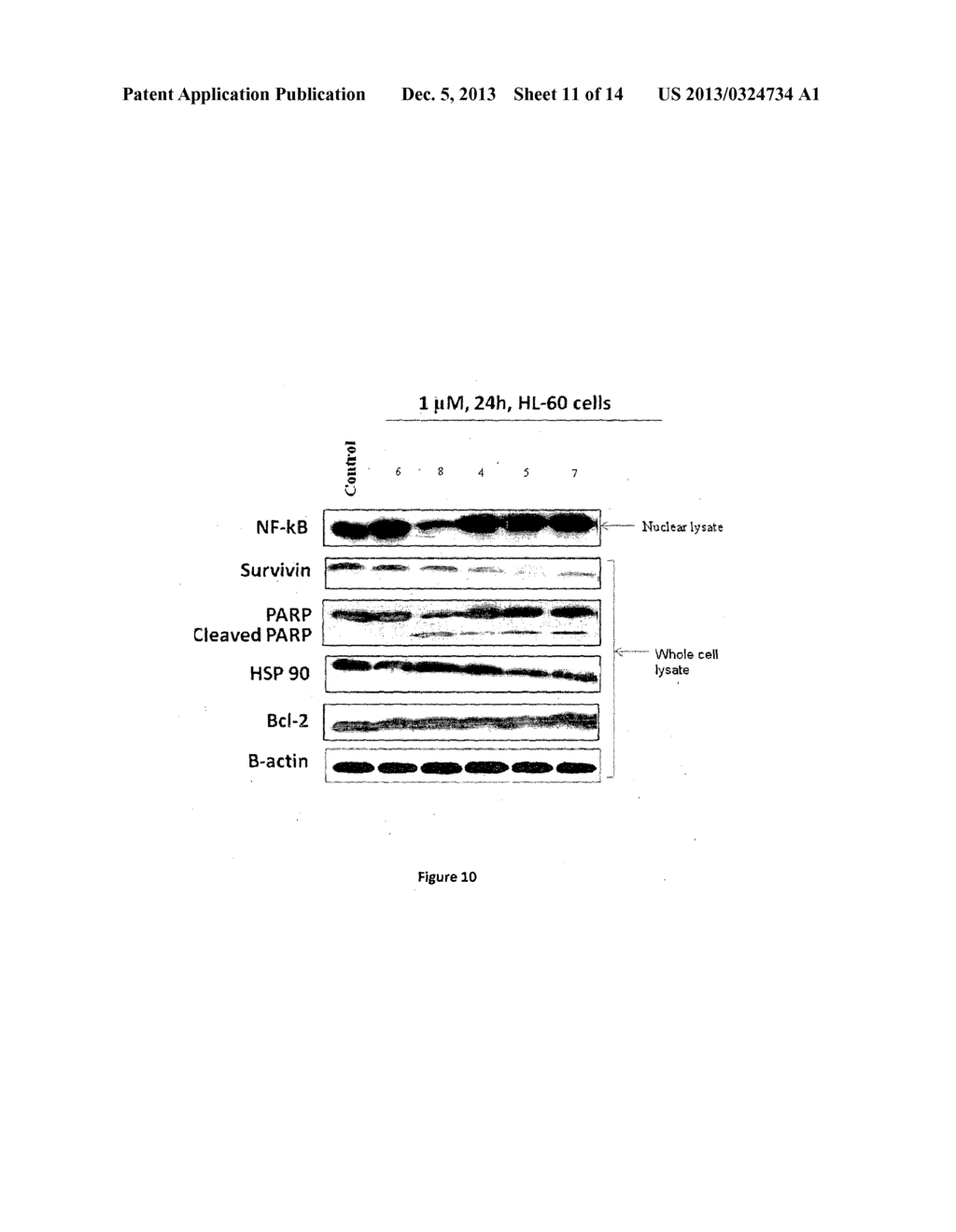 2-ANILINO NICOTINYL LINKED 2-AMINO BENZOTHIAZOLE CONJUGATES AND PROCESS     FOR THE PREPARATION THEREOF - diagram, schematic, and image 12