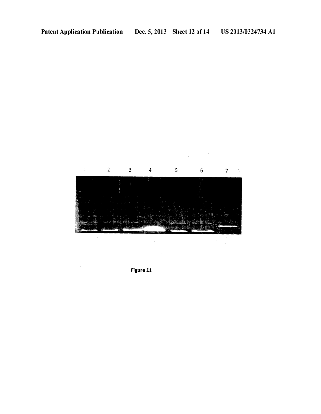 2-ANILINO NICOTINYL LINKED 2-AMINO BENZOTHIAZOLE CONJUGATES AND PROCESS     FOR THE PREPARATION THEREOF - diagram, schematic, and image 13