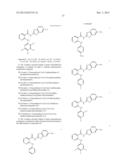 2-ANILINO NICOTINYL LINKED 2-AMINO BENZOTHIAZOLE CONJUGATES AND PROCESS     FOR THE PREPARATION THEREOF diagram and image