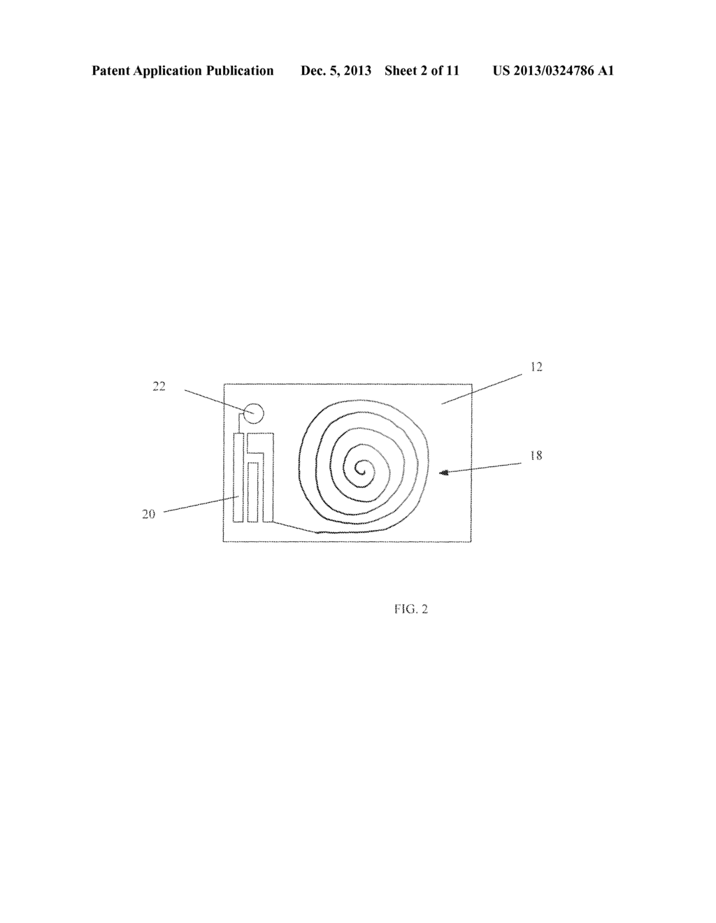 APPLICABLE DEVICE FOR HEALING INJURIES WITH MAGNETIC FIELDS - diagram, schematic, and image 03