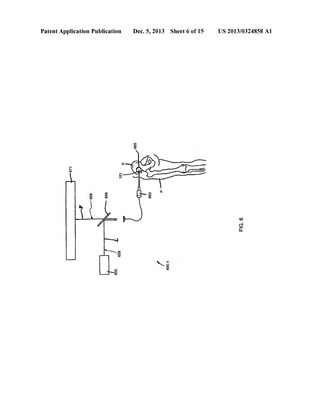 MULTI-PATH, MULTI-MAGNIFICATION, NON-CONFOCAL FLUORESCENCE EMISSION     ENDOSCOPY APPARATUS AND METHODS - diagram, schematic, and image 07