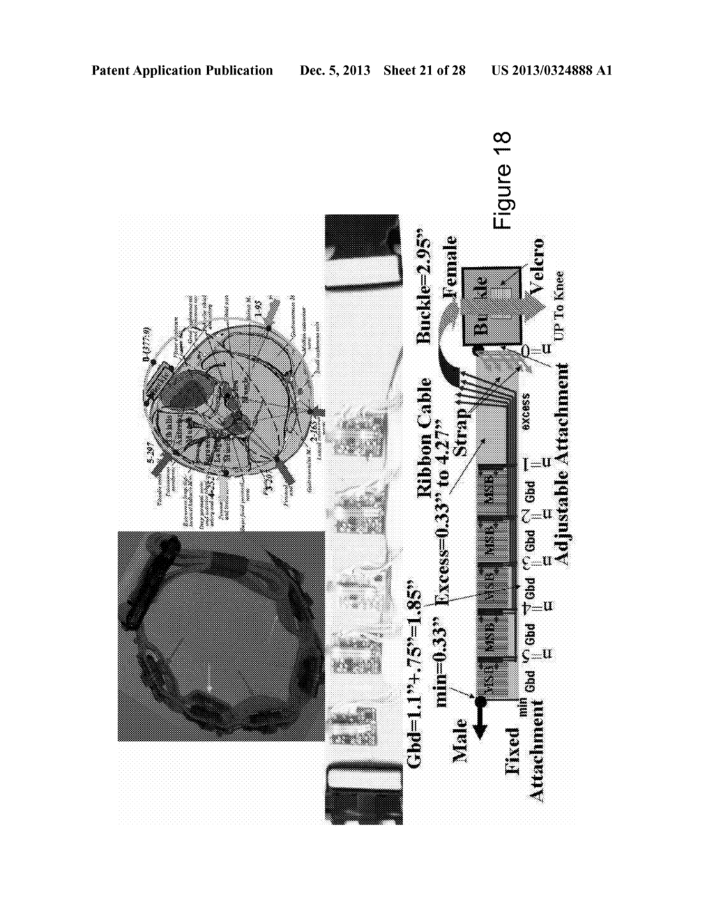 SYSTEM AND METHOD FOR MEASURING BALANCE AND TRACK MOTION IN MAMMALS - diagram, schematic, and image 22