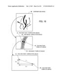 VERIFICATION APPARATUS, VERIFICATION PROGRAM, AND VERIFICATION METHOD diagram and image