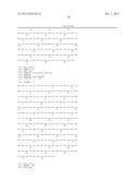 ALTERING ROOT STRUCTURE DURING PLANT DEVELOPMENT diagram and image