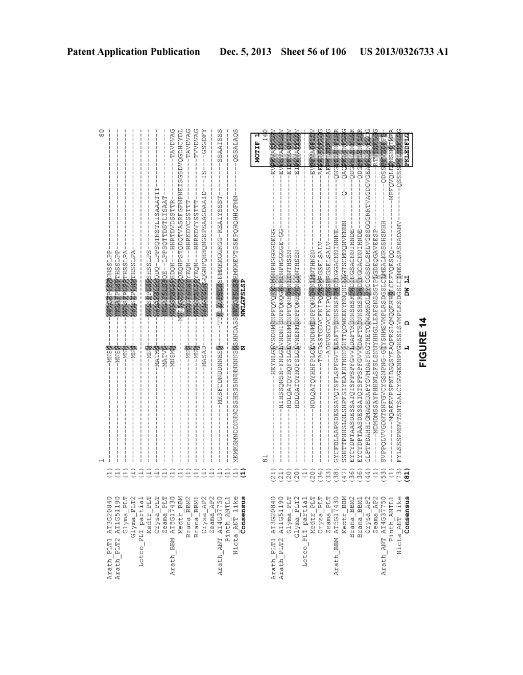 Plants Having Enhanced Yield-Related Traits and a Method for Making the     Same - diagram, schematic, and image 57