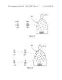 Quantum Dot LED s to Enhance Growth in Photosynthetic Organisms diagram and image