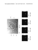 SYSTEMS AND METHODS FOR DAMAGE DETECTION IN PLATE-LIKE STRUCTURES USING     GUIDED WAVE PHASED ARRAYS diagram and image