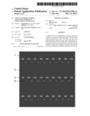 USE OF A UNIFORM LAYER OF INSULATING MATERIAL IN BACK-CONTACT SOLAR CELLS diagram and image