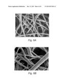 Pt Nanotubes diagram and image