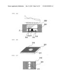 BLOOD VESSEL IMAGE PICKUP DEVICE, AND ORGANISM AUTHENTICATION DEVICE diagram and image