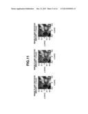 DEFOCUS AMOUNT ESTIMATION METHOD, IMAGING APPARATUS, AND TRANSPARENT     MEMBER diagram and image