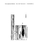 SURVEILLANCE SYSTEM AND A METHOD FOR DETECTING A FOREIGN OBJECT, DEBRIS,     OR DAMAGE IN AN AIRFIELD diagram and image