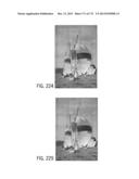 Systems and Methods for Defective Pixel Correction with Neighboring Pixels diagram and image