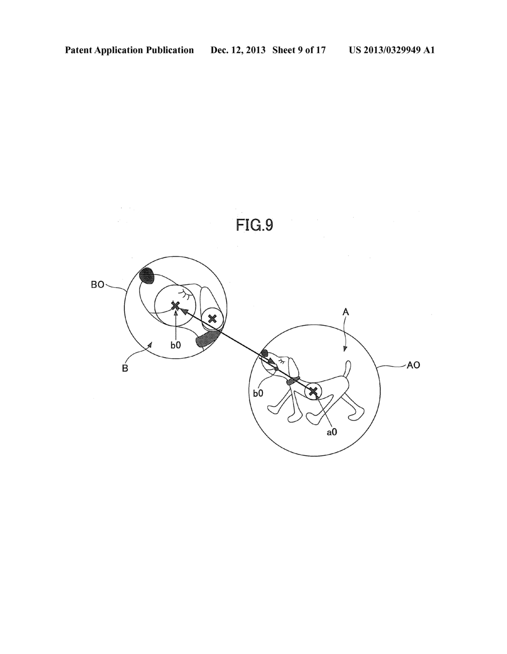 IMAGE RECOGNITION APPARATUS AND IMAGE RECOGNITION METHOD - diagram, schematic, and image 10