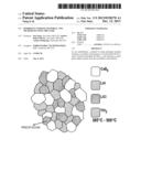 HYDROGEN STORAGE MATERIAL AND METHOD OF USING THE SAME diagram and image