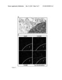 COMPOSITIONS AND METHODS FOR DETECTING AND TREATING CANCER diagram and image