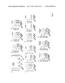 High Telomerase Activity Bone Marrow Mesenchymal Stem Cells, Methods of     Producing the Same and Pharmaceuticals and Treatment Methods Based     Thereon diagram and image