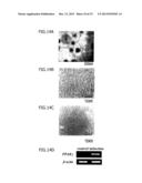 BRAIN TISSUE REGENERATION METHOD diagram and image