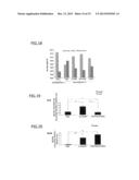 BRAIN TISSUE REGENERATION METHOD diagram and image