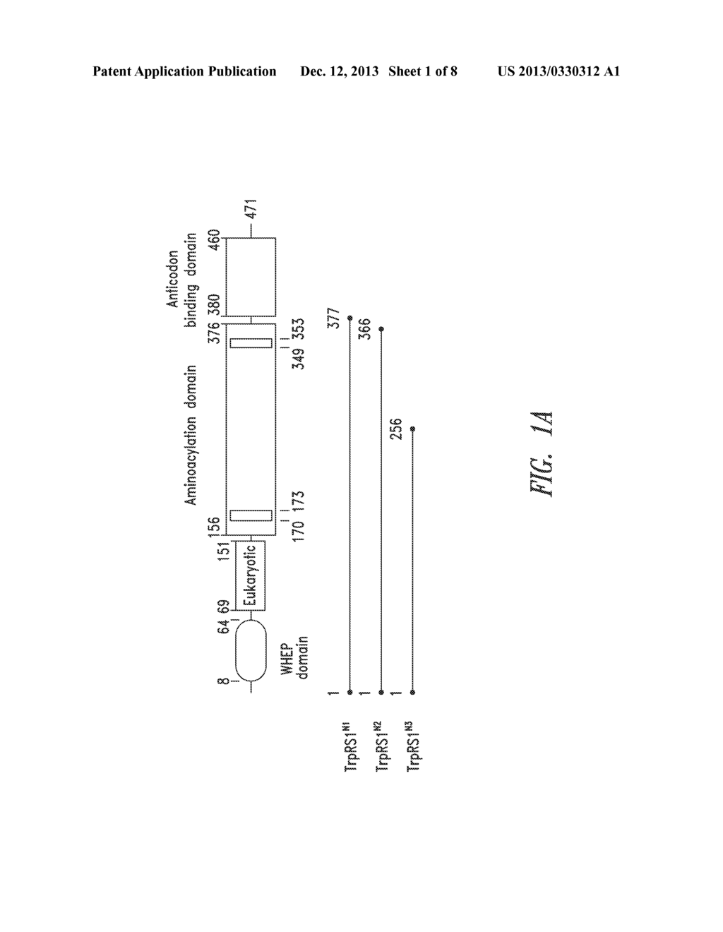 INNOVATIVE DISCOVERY OF THERAPEUTIC, DIAGNOSTIC, AND ANTIBODY COMPOSITIONS     RELATED TO PROTEIN FRAGMENTS OF TRYPTOPHANYL-TRNA SYNTHETASES - diagram, schematic, and image 02