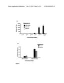 Rapid Generation of Anti-Idiotypic Antibodies diagram and image