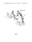 ANTIBODIES FOR EPIDERMAL GROWTH FACTOR RECEPTOR 3 (HER3) diagram and image