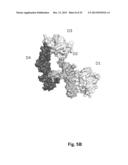 ANTIBODIES FOR EPIDERMAL GROWTH FACTOR RECEPTOR 3 (HER3) diagram and image