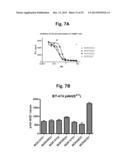 ANTIBODIES FOR EPIDERMAL GROWTH FACTOR RECEPTOR 3 (HER3) diagram and image