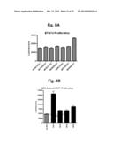 ANTIBODIES FOR EPIDERMAL GROWTH FACTOR RECEPTOR 3 (HER3) diagram and image