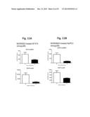 ANTIBODIES FOR EPIDERMAL GROWTH FACTOR RECEPTOR 3 (HER3) diagram and image