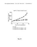 ANTIBODIES FOR EPIDERMAL GROWTH FACTOR RECEPTOR 3 (HER3) diagram and image