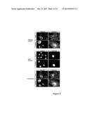 Method of Treating Degenerative Disorders of the Nervous System diagram and image