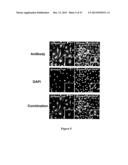 Method of Treating Degenerative Disorders of the Nervous System diagram and image