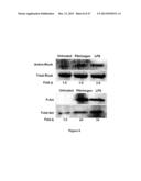 Method of Treating Degenerative Disorders of the Nervous System diagram and image