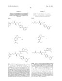 NEPRILYSIN INHIBITORS diagram and image