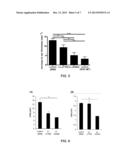 TREATMENT OF IMMUNE DISEASE BY MUCOSAL DELIVERY OF ANTIGENS USING     GENETICALLY MODIFIED LACTOBACILLUS diagram and image