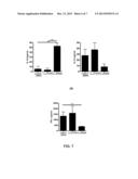 TREATMENT OF IMMUNE DISEASE BY MUCOSAL DELIVERY OF ANTIGENS USING     GENETICALLY MODIFIED LACTOBACILLUS diagram and image