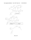 MOLECULARLY IMPRINTED POLYMERS HAVING AFFINITY FOR NATRIURETIC PEPTIDES diagram and image