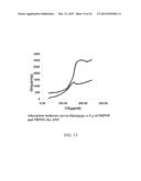 MOLECULARLY IMPRINTED POLYMERS HAVING AFFINITY FOR NATRIURETIC PEPTIDES diagram and image