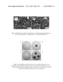 NANOCELLULOSE FOAM CONTAINING ACTIVE INGREDIENTS diagram and image