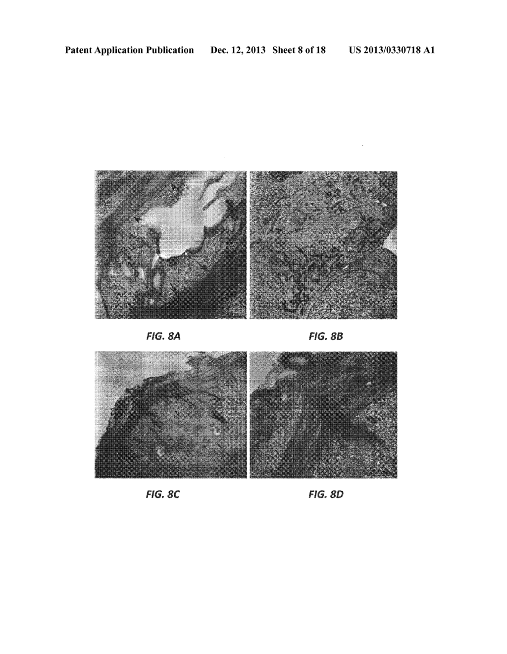 PROTEINS THAT EFFICIENTLY GENERATE SINGLET OXYGEN - diagram, schematic, and image 09