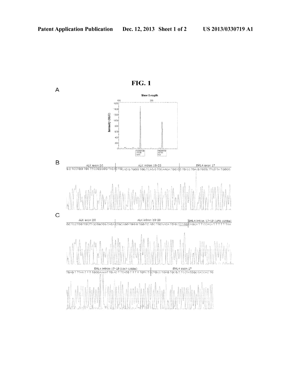 EML4-ALK TRANSLOCATIONS IN LUNG CANCER - diagram, schematic, and image 02