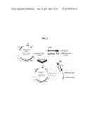 CLONAL ANALYSIS OF FUNCTIONAL GENOMIC ASSAYS AND COMPOSITIONS FOR     PRACTICING SAME diagram and image