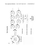 CLONAL ANALYSIS OF FUNCTIONAL GENOMIC ASSAYS AND COMPOSITIONS FOR     PRACTICING SAME diagram and image