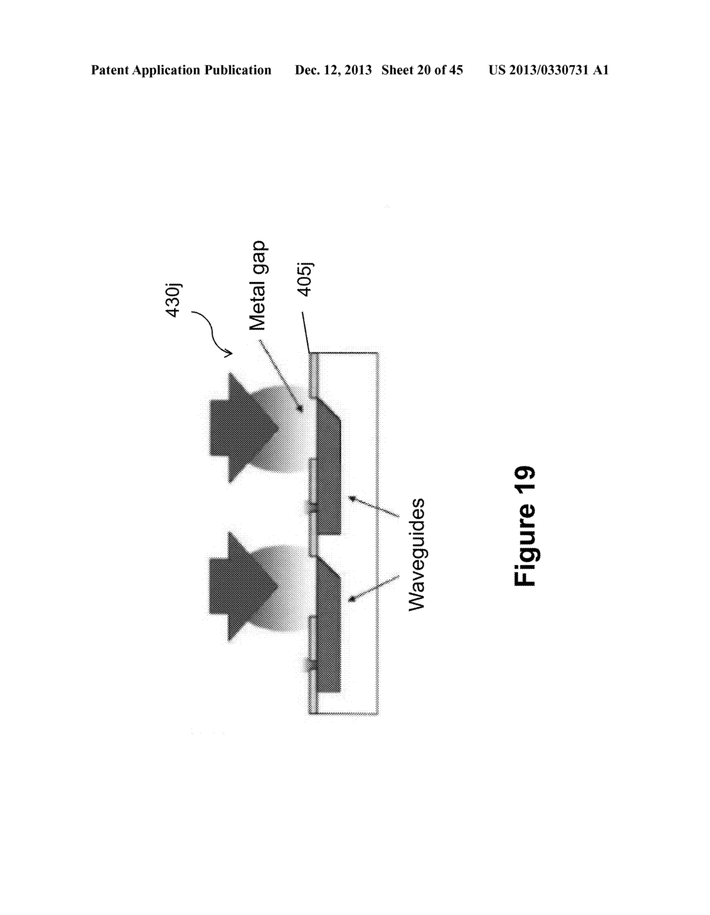 Illumination of Integrated Analytical Systems - diagram, schematic, and image 21