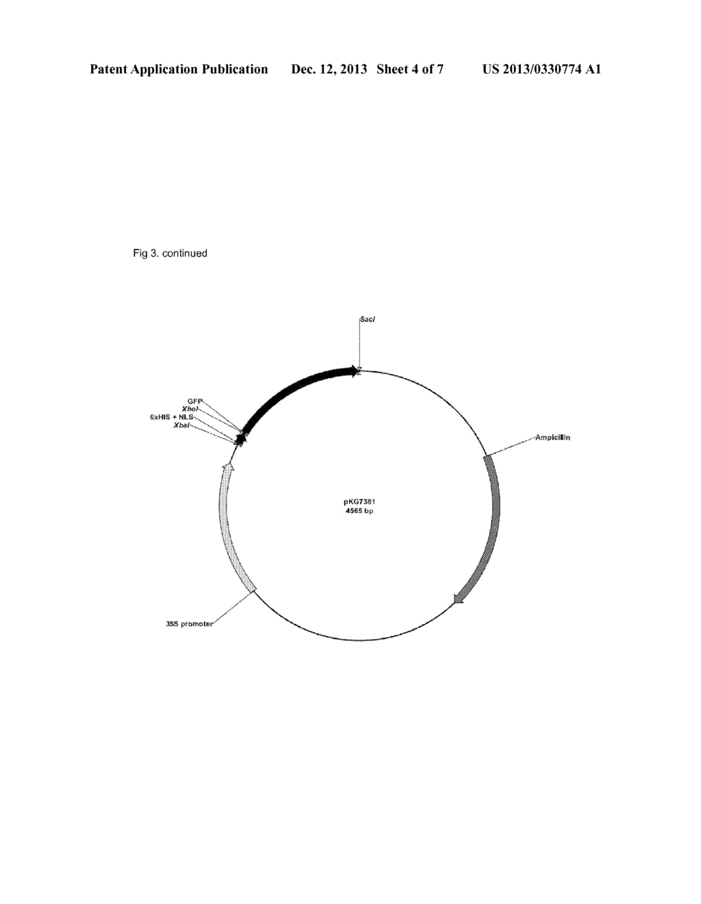 TARGETED ALTERATION OF DNA WITH OLIGONUCLEOTIDES - diagram, schematic, and image 05