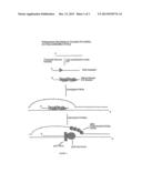 METHODS FOR NUCLEIC ACID MANIPULATION diagram and image