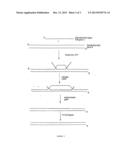 METHODS FOR NUCLEIC ACID MANIPULATION diagram and image